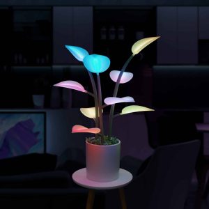 Fluora Mini plant